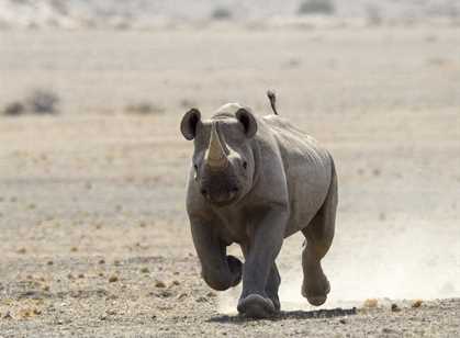 Etosha National Park